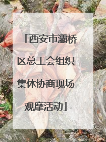 西安市灞桥区总工会组织集体协商现场观摩活动