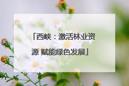 西峡：激活林业资源 赋能绿色发展
