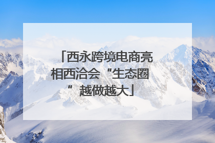 西永跨境电商亮相西洽会“生态圈”越做越大