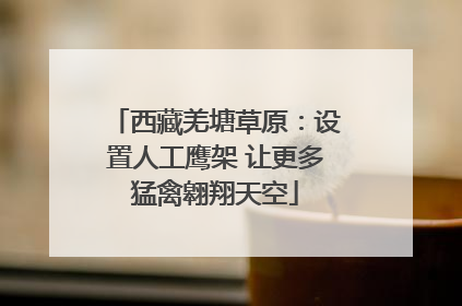 西藏羌塘草原：设置人工鹰架 让更多猛禽翱翔天空