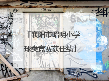 襄阳市昭明小学球类竞赛获佳绩