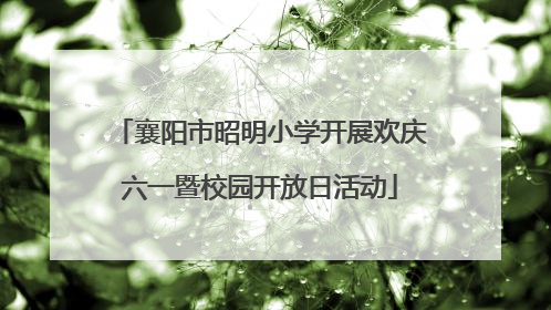 襄阳市昭明小学开展欢庆六一暨校园开放日活动