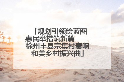 规划引领绘蓝图 惠民举措筑新篇——徐州丰县宗集村奏响和美乡村振兴曲