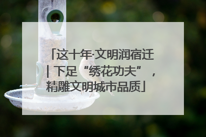 这十年·文明润宿迁｜下足“绣花功夫”，精雕文明城市品质