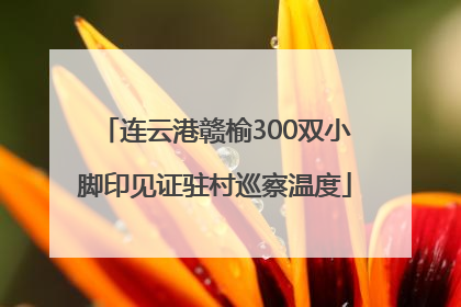 连云港赣榆300双小脚印见证驻村巡察温度