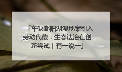 车碾鄱阳湖湿地案引入劳动代偿：生态法治在创新尝试｜有一说一