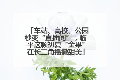 车站、高校、公园秒变“直播间”，临平这颗初夏“金果”在长三角播撒甜美