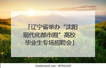 辽宁省举办“沈阳现代化都市圈”高校毕业生专场招聘会