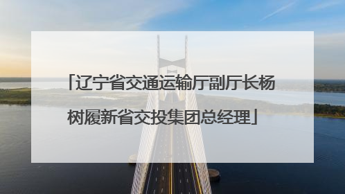 辽宁省交通运输厅副厅长杨树履新省交投集团总经理