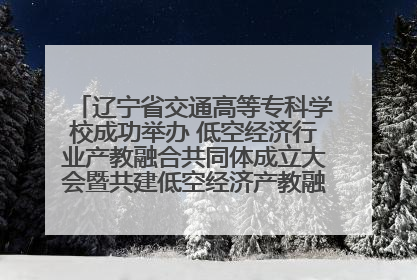 辽宁省交通高等专科学校成功举办 低空经济行业产教融合共同体成立大会暨共建低空经济产教融合新生态论坛