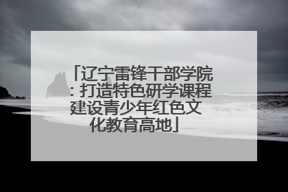 辽宁雷锋干部学院：打造特色研学课程 建设青少年红色文化教育高地