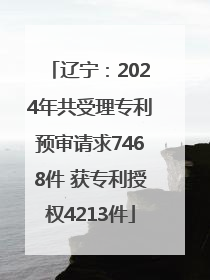 辽宁：2024年共受理专利预审请求7468件 获专利授权4213件