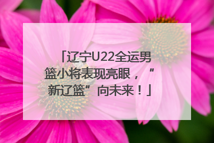辽宁U22全运男篮小将表现亮眼，“新辽篮”向未来！