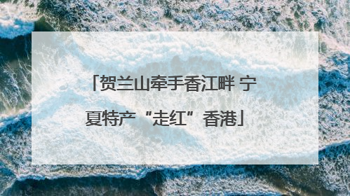 贺兰山牵手香江畔 宁夏特产“走红”香港