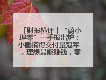 财报横评丨“蔚小理零”一季报出炉：小鹏摘得交付量冠军，理想最能赚钱，零跑迎头赶上，蔚来还在调整
