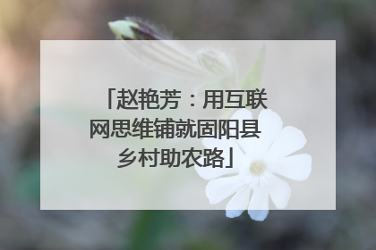赵艳芳：用互联网思维铺就固阳县乡村助农路