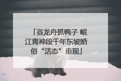 赛龙舟抓鸭子 岷江青神段千年东坡婚俗“活态”重现