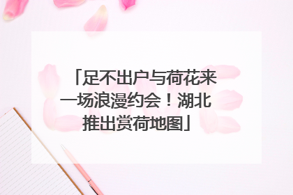 足不出户与荷花来一场浪漫约会！湖北推出赏荷地图