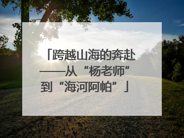 跨越山海的奔赴——从“杨老师”到“海河阿帕”
