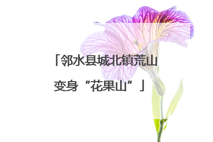 邻水县城北镇荒山变身“花果山”