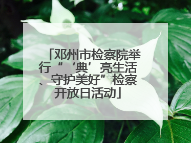 邓州市检察院举行“‘典’亮生活、守护美好”检察开放日活动