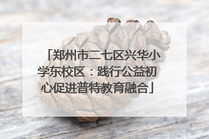郑州市二七区兴华小学东校区：践行公益初心促进普特教育融合