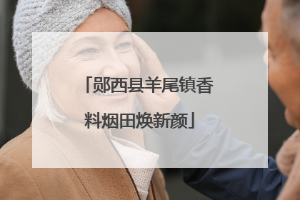 郧西县羊尾镇香料烟田焕新颜
