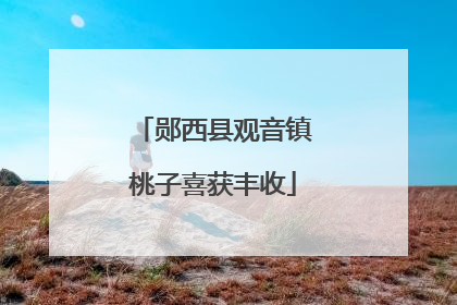 郧西县观音镇桃子喜获丰收