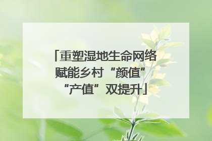 重塑湿地生命网络 赋能乡村“颜值”“产值”双提升