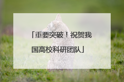 重要突破！祝贺我国高校科研团队