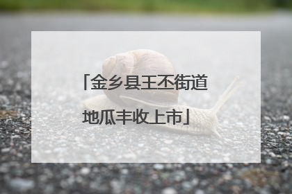 金乡县王丕街道地瓜丰收上市