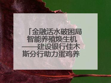 金融活水破困局 智能养殖焕生机——建设银行佳木斯分行助力蛋鸡养殖突围