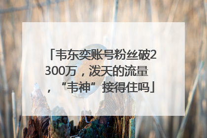 韦东奕账号粉丝破2300万，泼天的流量，“韦神”接得住吗