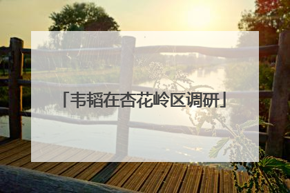 韦韬在杏花岭区调研