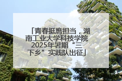 青春挺膺担当，湖南工业大学科技学院2025年暑期“三下乡”实践队出征