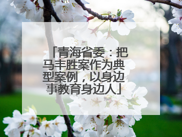 青海省委：把马丰胜案作为典型案例，以身边事教育身边人