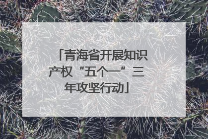 青海省开展知识产权“五个一”三年攻坚行动