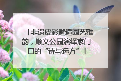 非遗皮影邂逅园艺雅韵，顺义公园演绎家门口的“诗与远方”