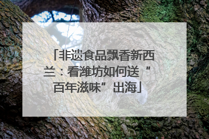 非遗食品飘香新西兰：看潍坊如何送“百年滋味”出海