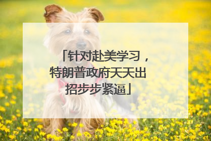 针对赴美学习，特朗普政府天天出招步步紧逼