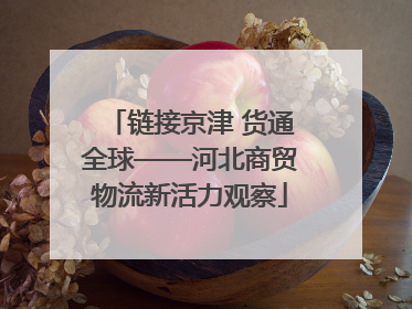 链接京津 货通全球——河北商贸物流新活力观察