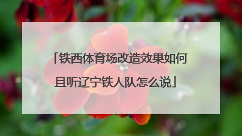 铁西体育场改造效果如何 且听辽宁铁人队怎么说
