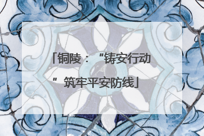 铜陵：“铸安行动”筑牢平安防线