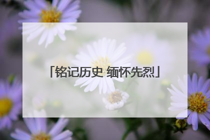 铭记历史 缅怀先烈