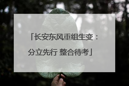 长安东风重组生变：分立先行 整合待考