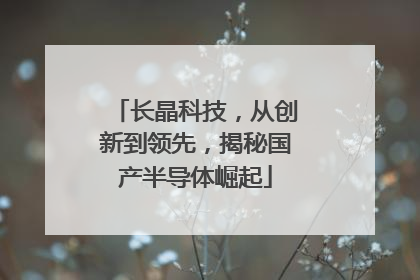 长晶科技，从创新到领先，揭秘国产半导体崛起