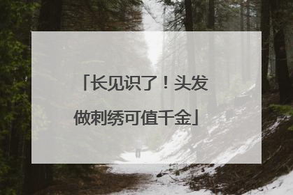 长见识了！头发做刺绣可值千金