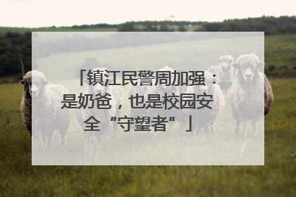 镇江民警周加强：是奶爸，也是校园安全“守望者”