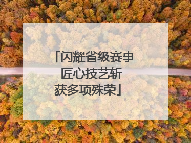 闪耀省级赛事  匠心技艺斩获多项殊荣