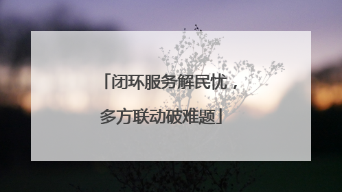 闭环服务解民忧，多方联动破难题